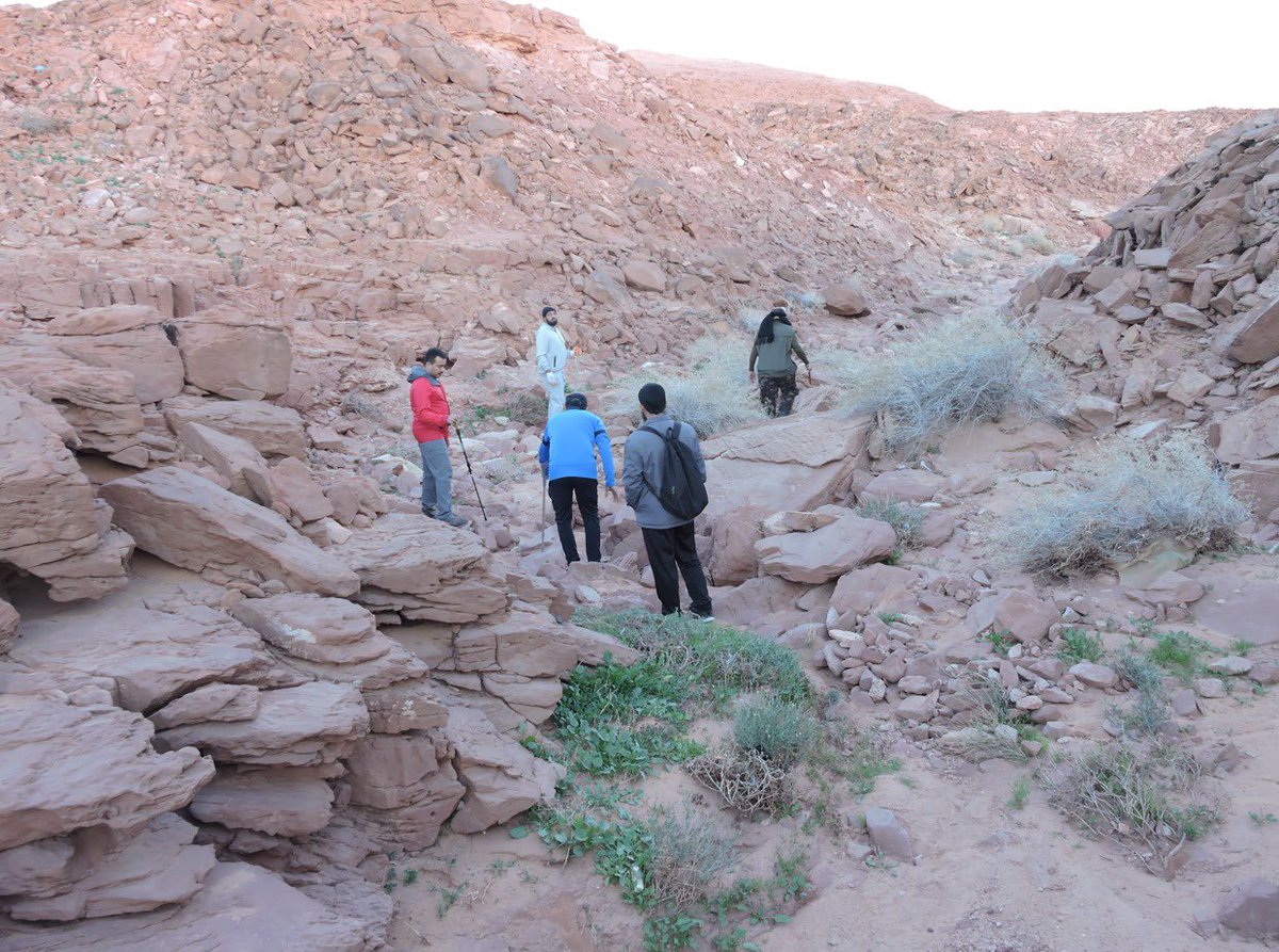 صالح الخالدي saleh alkhaldi (@f6094400) on Twitter photo 