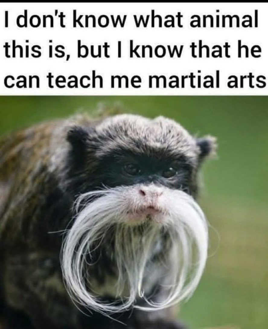 LloydLegalist's tweet photo. https://t.co/7k0zo6d1mS