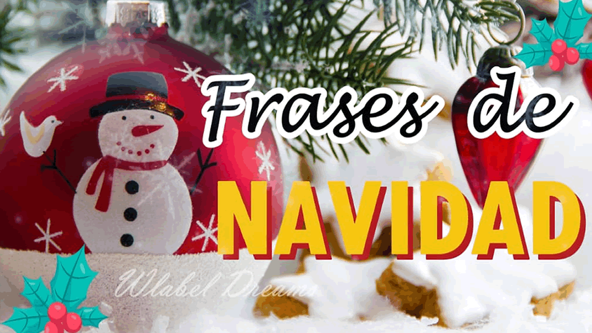 AnimedyTutorial's tweet image. 15 Frases para compartir con tus seres queridos en estas navidades para compartir con amigos y familiares
CLIC en el enlace: youtu.be/4xcaRTe3BOQ?si…
#frases #Navidad #frasesnavideñas #Navidad2024