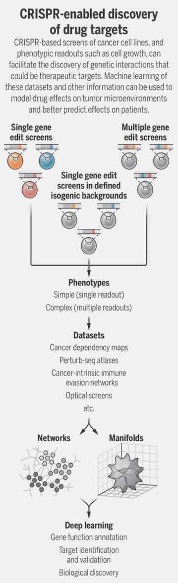JS74ll27's tweet image. What's up with Marie (3,3) today?