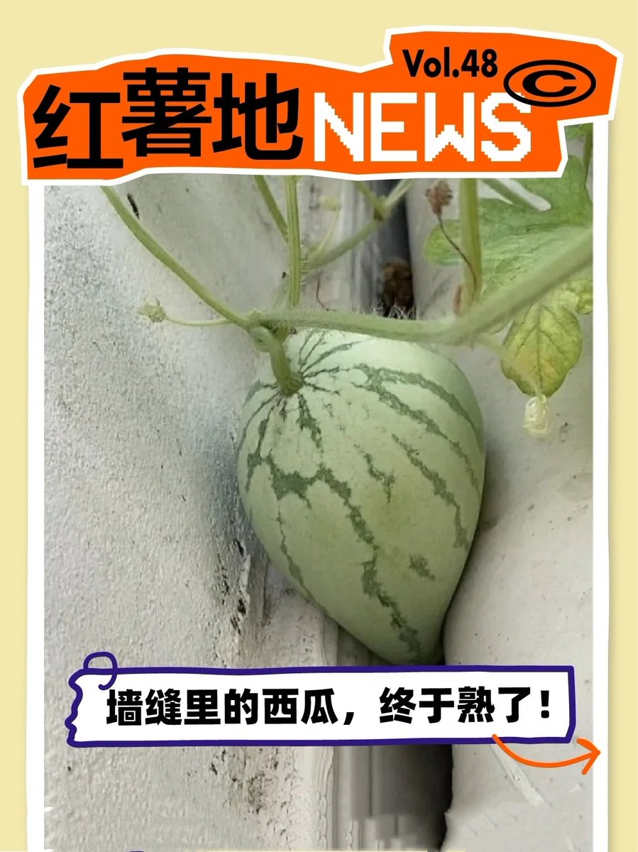 夹缝中求生存啊🙈，大家互关互赞呦。24小时内必回关。