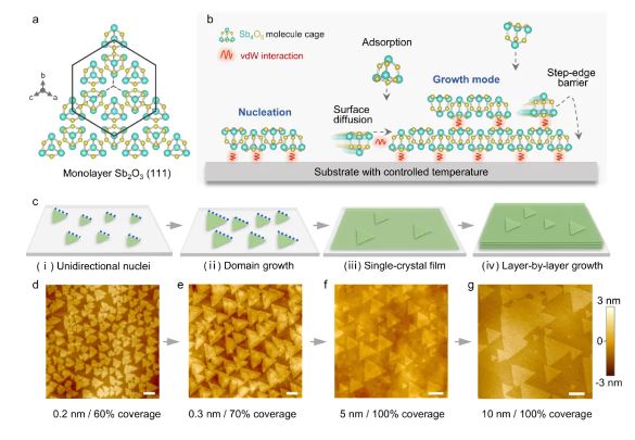 Van der Waals epitaxial growth of single-crystal molecular film 
doi.org/10.1093/nsr/nw…
<a href="/OxUniPress/">Oxford University Press</a> <a href="/Natl_Sci_Rev/">NSR_Journal</a> <a href="/SciencNews/">Science News</a> <a href="/isciverse/">Top Science</a> <a href="/physorg_com/">Phys.org</a>