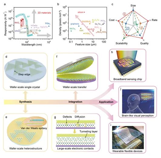 Perspective:　The roadmap of two-dimensional materials toward next-generation image sensor 
doi.org/10.1093/nsr/nw…
<a href="/OxUniPress/">Oxford University Press</a> <a href="/Natl_Sci_Rev/">NSR_Journal</a> <a href="/SciencNews/">Science News</a> <a href="/isciverse/">Top Science</a> <a href="/physorg_com/">Phys.org</a>