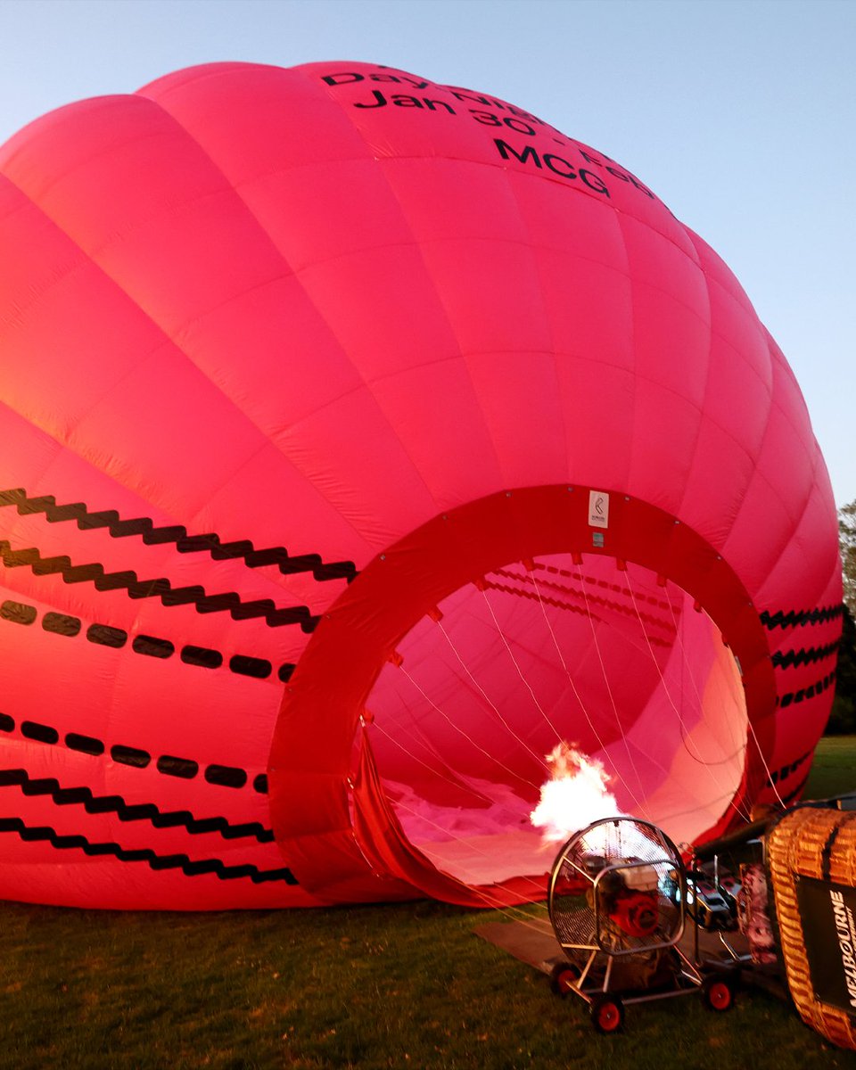 Cricket Australia tweet media