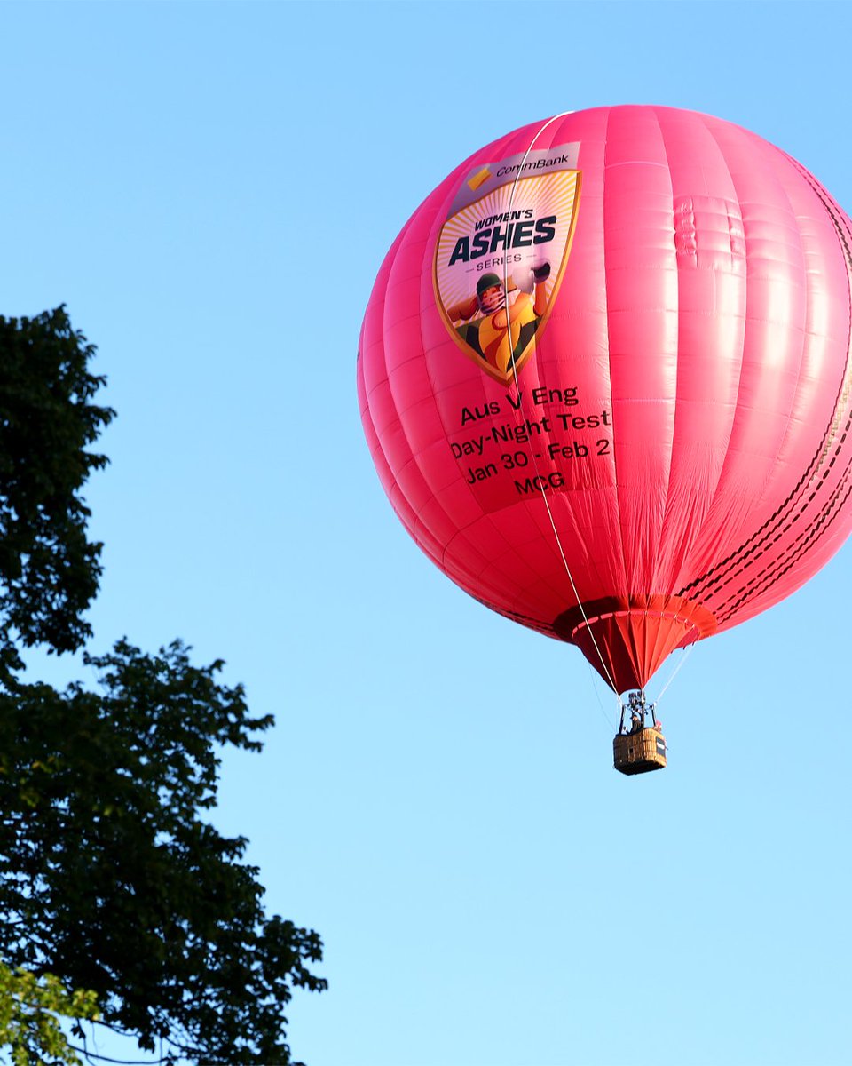 Cricket Australia tweet media