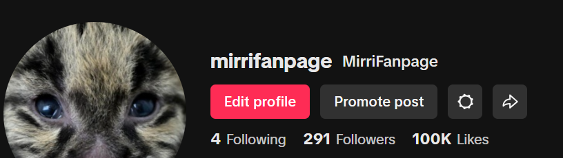 MirriCoin's tweet photo. 100K LIKES ON TIKTOK IN 1 DAY🚀🚀🚀☀️
As popularity of $MIRRI grows so will the coin price. Buckle in because we are going to the moon.

Website: https://t.co/TseoSfUxPJ

#ToTheMoon #newcrypto #MIRRI #Crypto #cryptocurrency #TikTok https://t.co/GVkBwUo1uq