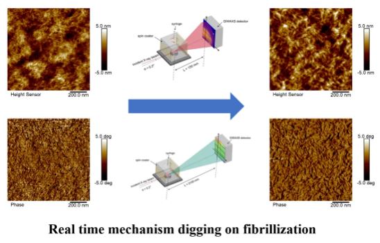 In-situ understanding on the formation of fibrillar morphology in green solvent processed all-
polymer solar cells 
doi.org/10.1093/nsr/nw…
<a href="/OxUniPress/">Oxford University Press</a> <a href="/Natl_Sci_Rev/">NSR_Journal</a> <a href="/SciencNews/">Science News</a> <a href="/isciverse/">Top Science</a> <a href="/physorg_com/">Phys.org</a>