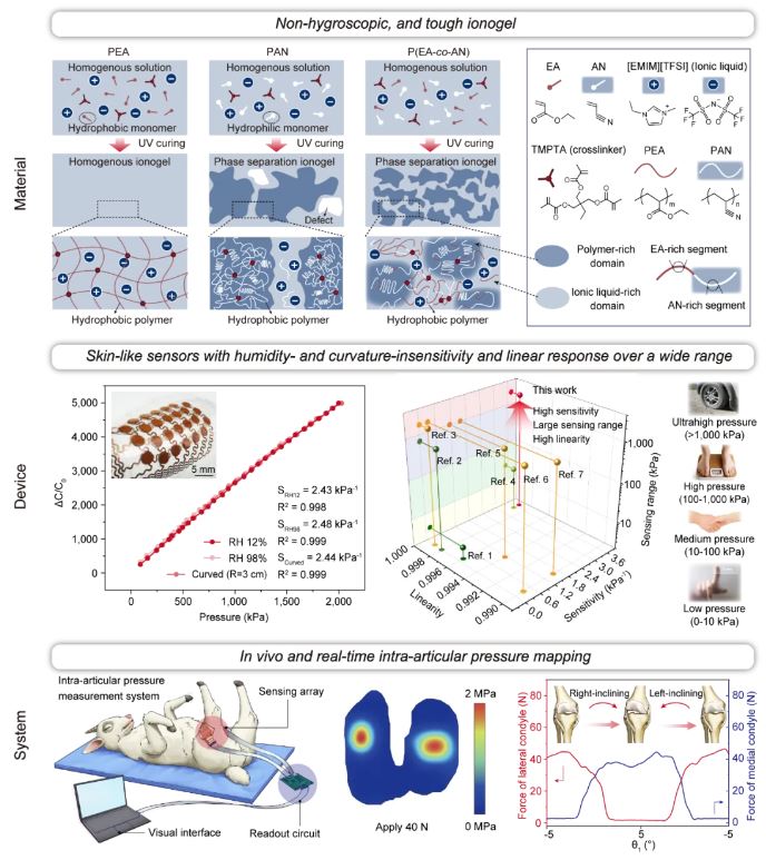 Non-hygroscopic ionogel-based humidity-insensitive iontronic sensor arrays for intra-articular pressure sensing 
doi.org/10.1093/nsr/nw…
<a href="/OxUniPress/">Oxford University Press</a> <a href="/Natl_Sci_Rev/">NSR_Journal</a> <a href="/SciencNews/">Science News</a> <a href="/isciverse/">Top Science</a> <a href="/physorg_com/">Phys.org</a>