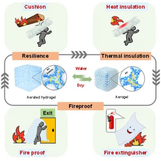 Reversible-gel-assisted, ambient-pressure-dried, multifunctional, flame-retardant biomass aerogels with smart high-strength-elasticity transformation 
doi.org/10.1093/nsr/nw…
<a href="/OxUniPress/">Oxford University Press</a> <a href="/Natl_Sci_Rev/">NSR_Journal</a> <a href="/SciencNews/">Science News</a> <a href="/isciverse/">Top Science</a> <a href="/physorg_com/">Phys.org</a>