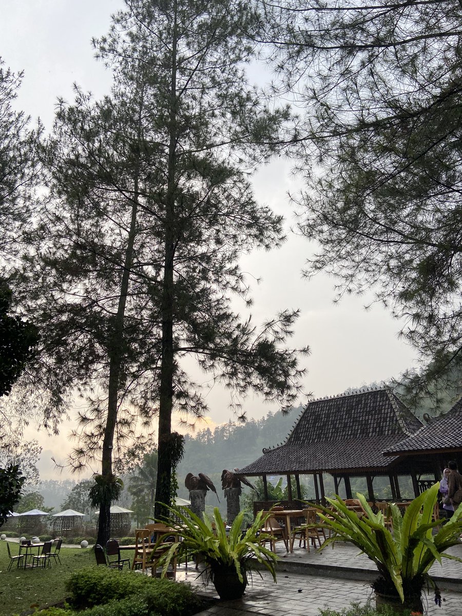 wisatambois's tweet photo. mau ngechill' dengan budjet 25k Taman Kemesraan bisa jadi pilihan, sambil nikmatin vibes romantis bareng bestie atau doi 💕💕Yuk, abadikan momen seru dan bikin kenangan manis di sini!  #TamanKemesraan #VibesOnPoint"#FIFAIntercontinentalCup #Bitcoin #wisatambois https://t.co/vWnpshafyN