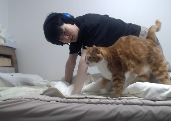 데프트가 고양이 자세 한 게 아니라
호두가 데프트 자세 따라한거임
