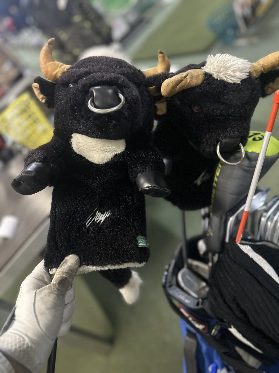 Dior C. Choi tweet media