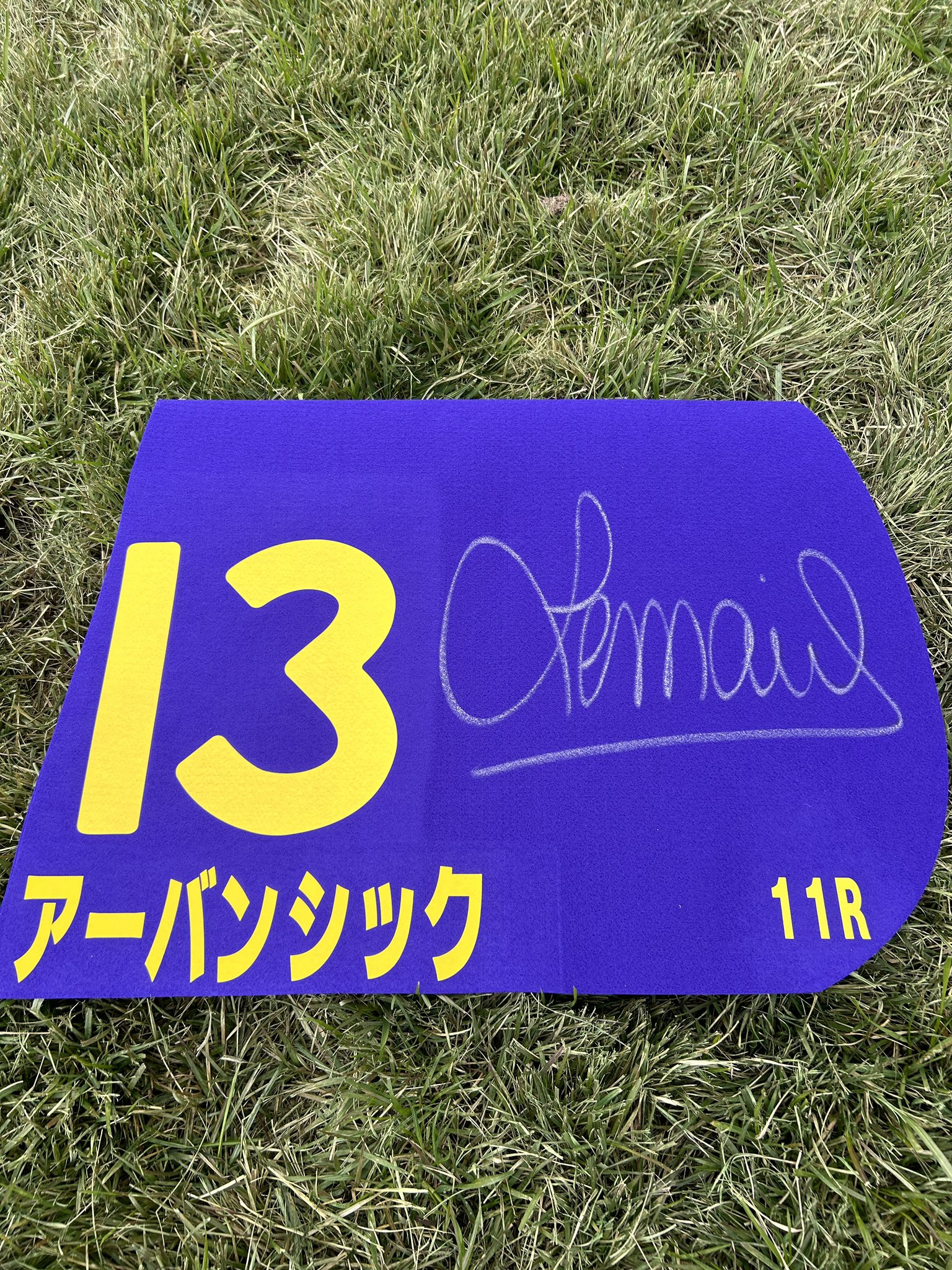 JRA京都競馬場 on X: 