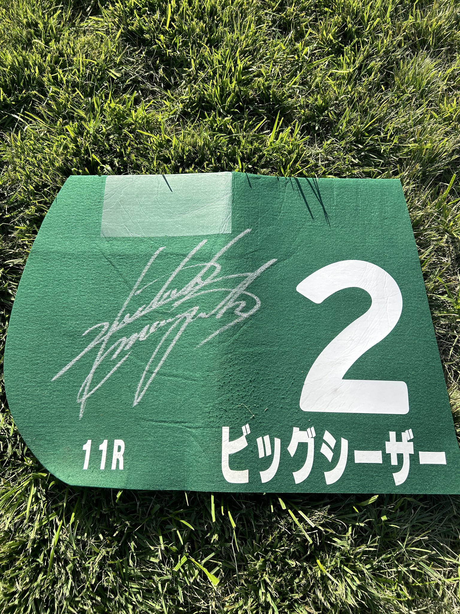 JRA京都競馬場 on X: JRA京都競馬場 on X:
