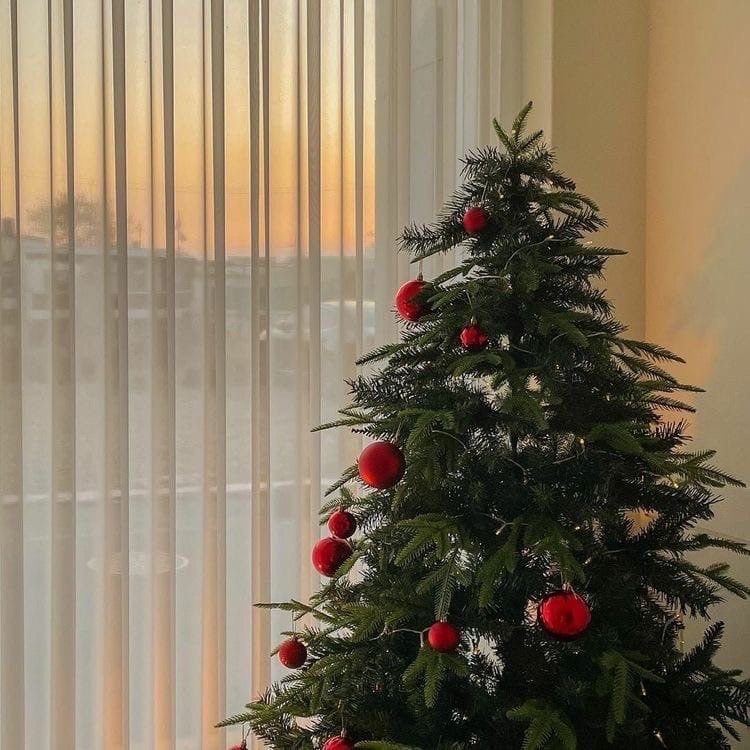 lostyouinmay's tweet photo. “only 6 days until christmas 🎅🏻🧣🎄” https://t.co/UeWPxN1hUN