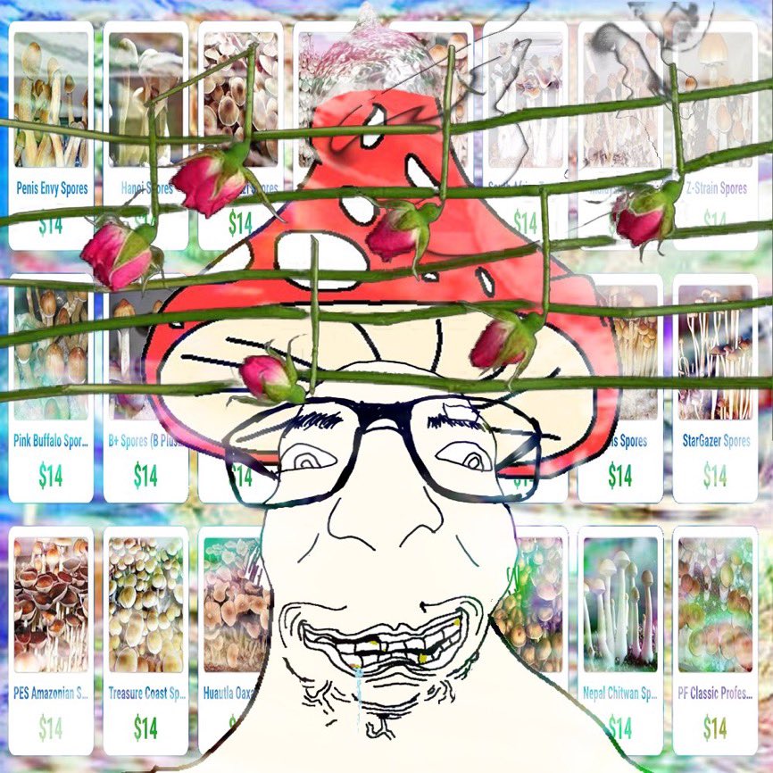 shrigma.base.eth tweet media