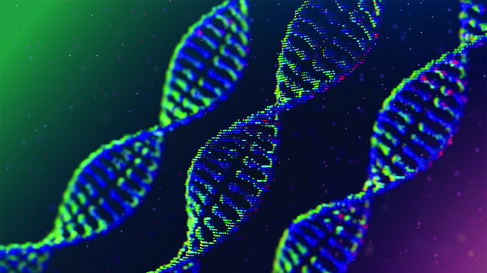 DNAAI_CTO's tweet photo. π§¬π€ The evolution of memes meets AIβwelcome to the future with $DNAI! πβ¨
#DNAI #DNA #AI #ELONMUSK #DESCI https://t.co/3CL6Gq1St8