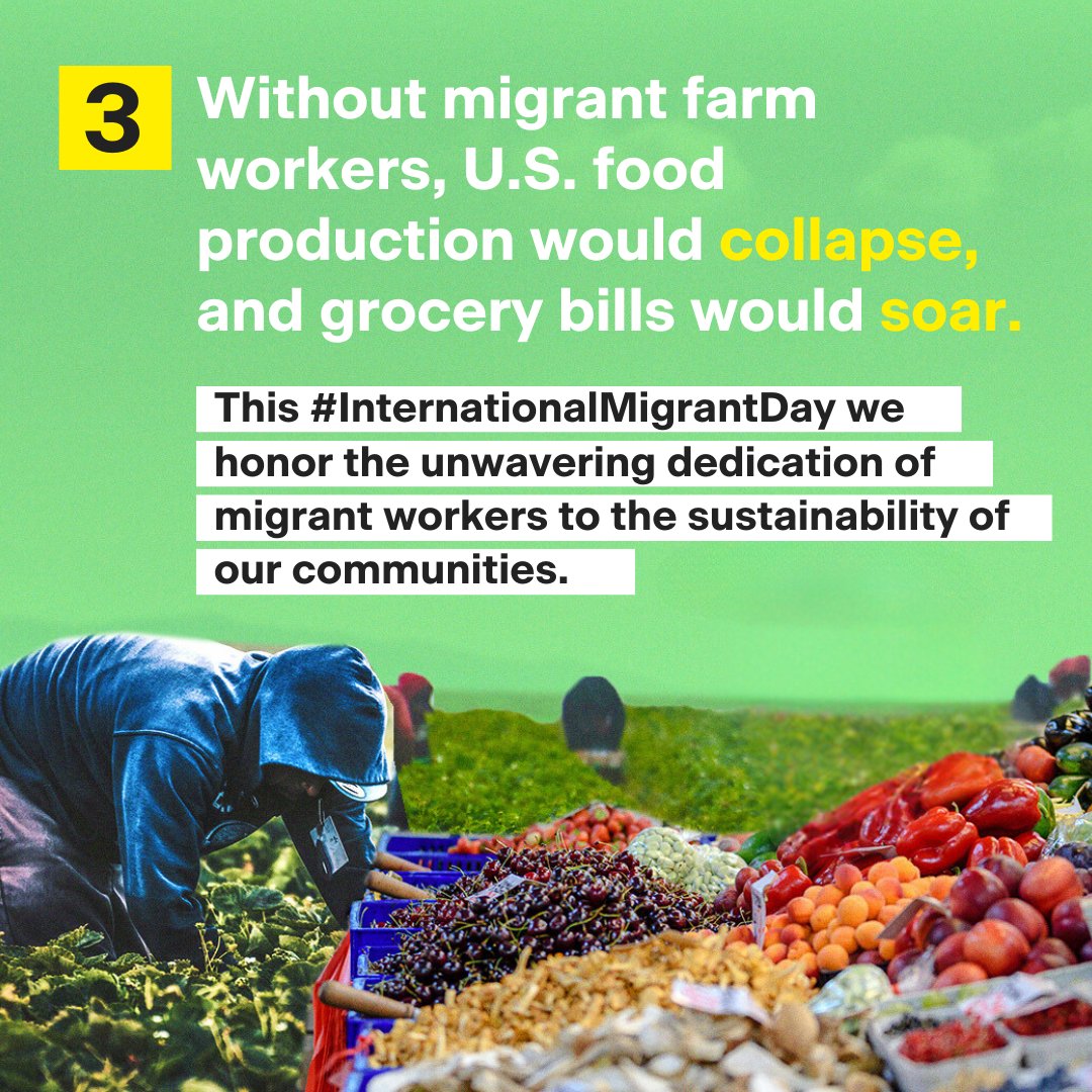 DefineAmerican's tweet photo. It's #InternationalMigrantDay! From performing the difficult work that powers farms to supporting local economies nationwide by providing fresh produce, it is essential that we recognize and support migrant workers who sustain our access to food. 🌱 #SupportFarmWorkers https://t.co/tvOwRGUBtF