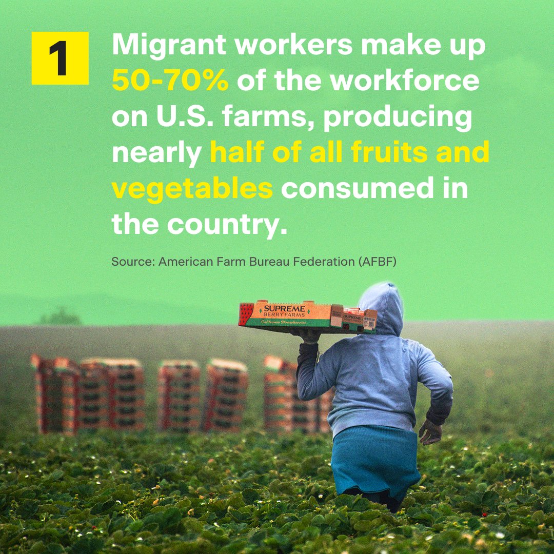DefineAmerican's tweet photo. It's #InternationalMigrantDay! From performing the difficult work that powers farms to supporting local economies nationwide by providing fresh produce, it is essential that we recognize and support migrant workers who sustain our access to food. 🌱 #SupportFarmWorkers https://t.co/tvOwRGUBtF