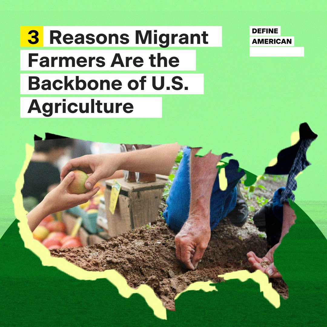 DefineAmerican's tweet photo. It's #InternationalMigrantDay! From performing the difficult work that powers farms to supporting local economies nationwide by providing fresh produce, it is essential that we recognize and support migrant workers who sustain our access to food. 🌱 #SupportFarmWorkers https://t.co/tvOwRGUBtF