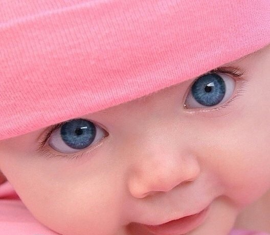 banoo.ramsari tweet media