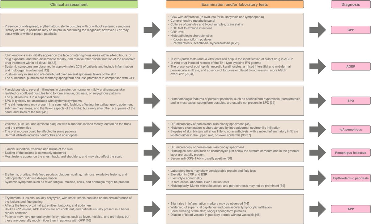 Key differential diagnoses summarized via the American Journal of Clinical Dermatology 👇🏼