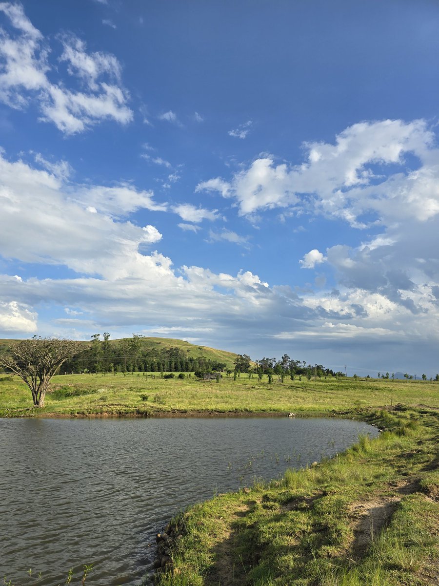 berghouse's tweet photo. Let love be the melody that guides your steps!
Take in the serenity, tranquility on another level!
https://t.co/vKpEFMYy54 
.
.
.
#mountaincabins #mountainviews #travel #explore #northerndrakensberg #Amphitheatermountainviews #Drakensberg https://t.co/M5j89A59uU