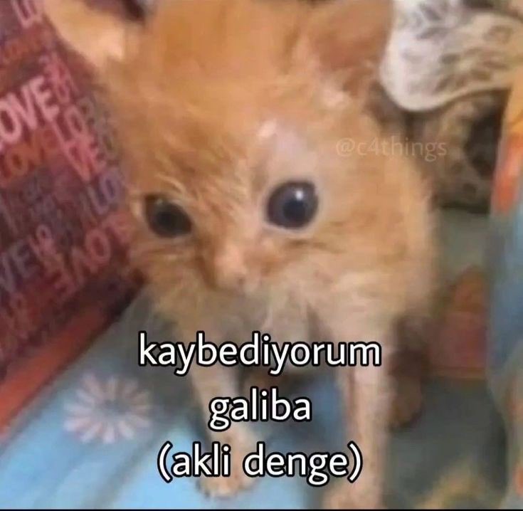 ANLIK (@anlikmod) on Twitter photo 