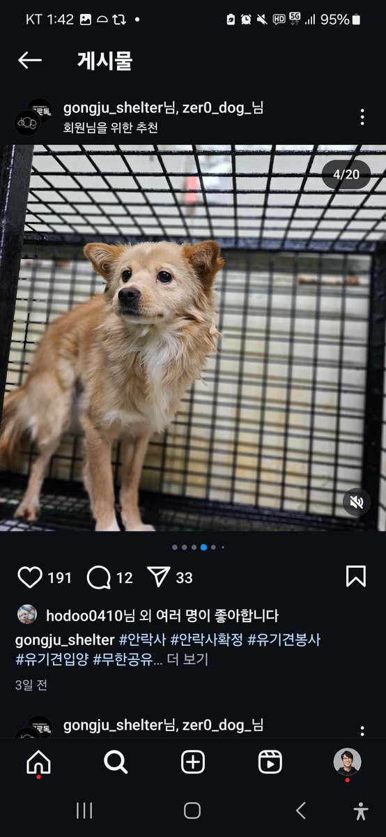 animalrtaccount's tweet photo. 안락사 확정인 아이입니다
구해주세요.공주보호소에요 https://t.co/8UERuQPYfZ