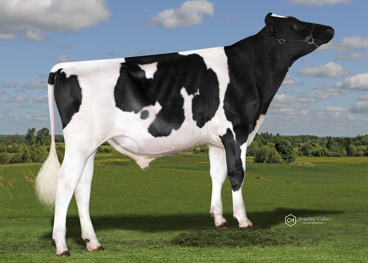 YourFarmGenetics (YFG) tweet media