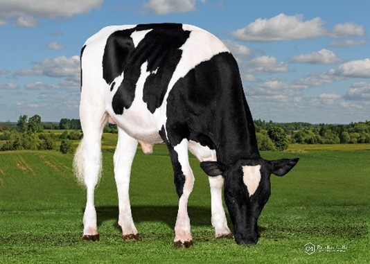 YourFarmGenetics (YFG) tweet media