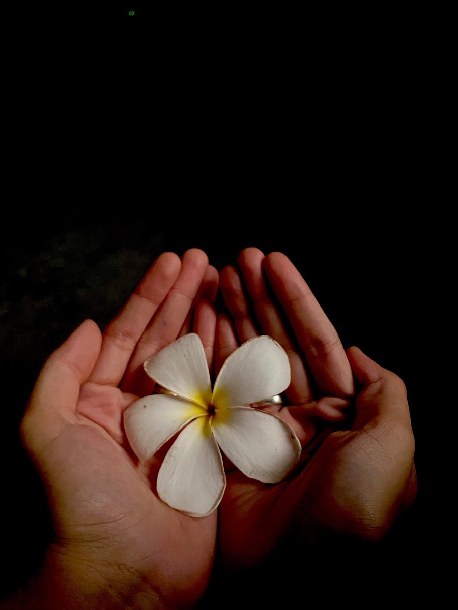 mansebanjaran's tweet photo. Show me your favourite flower media this year🌻 https://t.co/lNCwgYVhf1