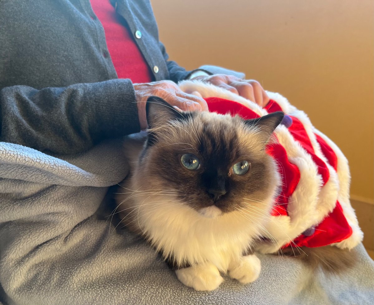 Portem alegria nadalenca als treballadors i pacients de l’hospital! 
🎄🤶
¡Llevamos alegría navideña a los trabajadores y pacientes del hospital! 
#perrodeterapia #gatodeterapia #terapiafelina #terapiaconanimales