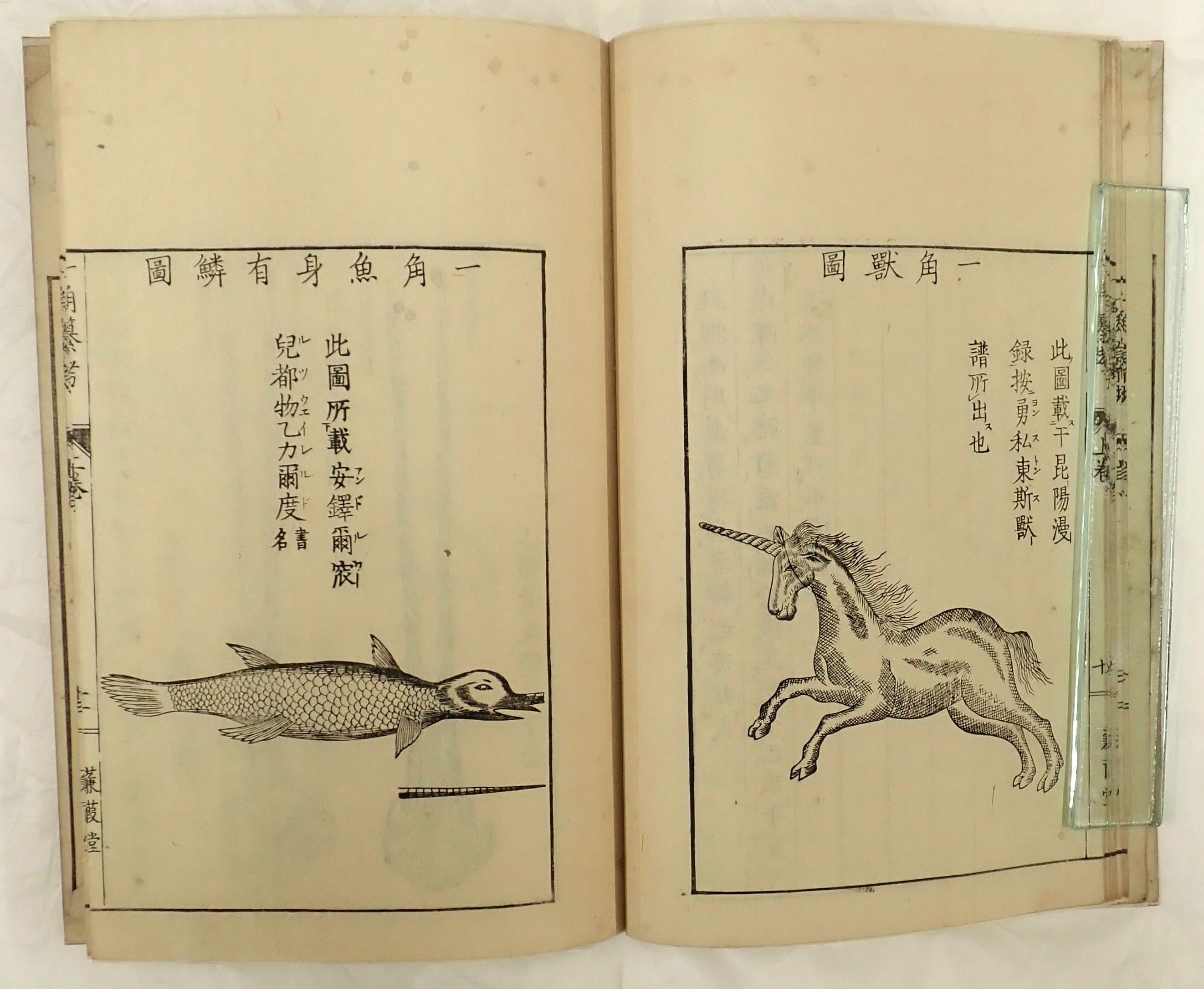 近畿大学中央図書館 on X: 