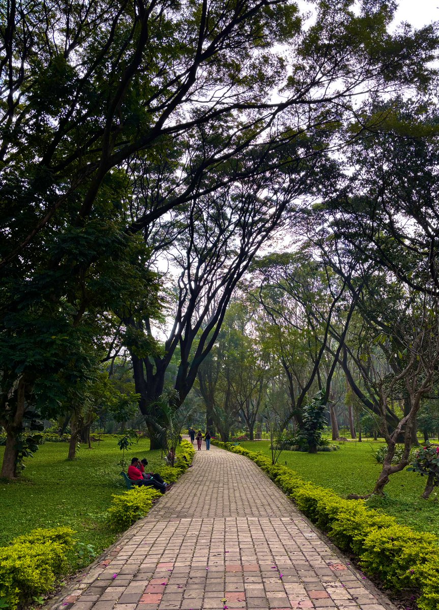 pathikghugare's tweet image. blossom walk @ cubbon 🌸
arranged a smol meetup today at cubbon
ran into beautiful blossoms
met amazing oomfies
it was so refreshing! 🤌
thanks to everyone who joined! 🙌