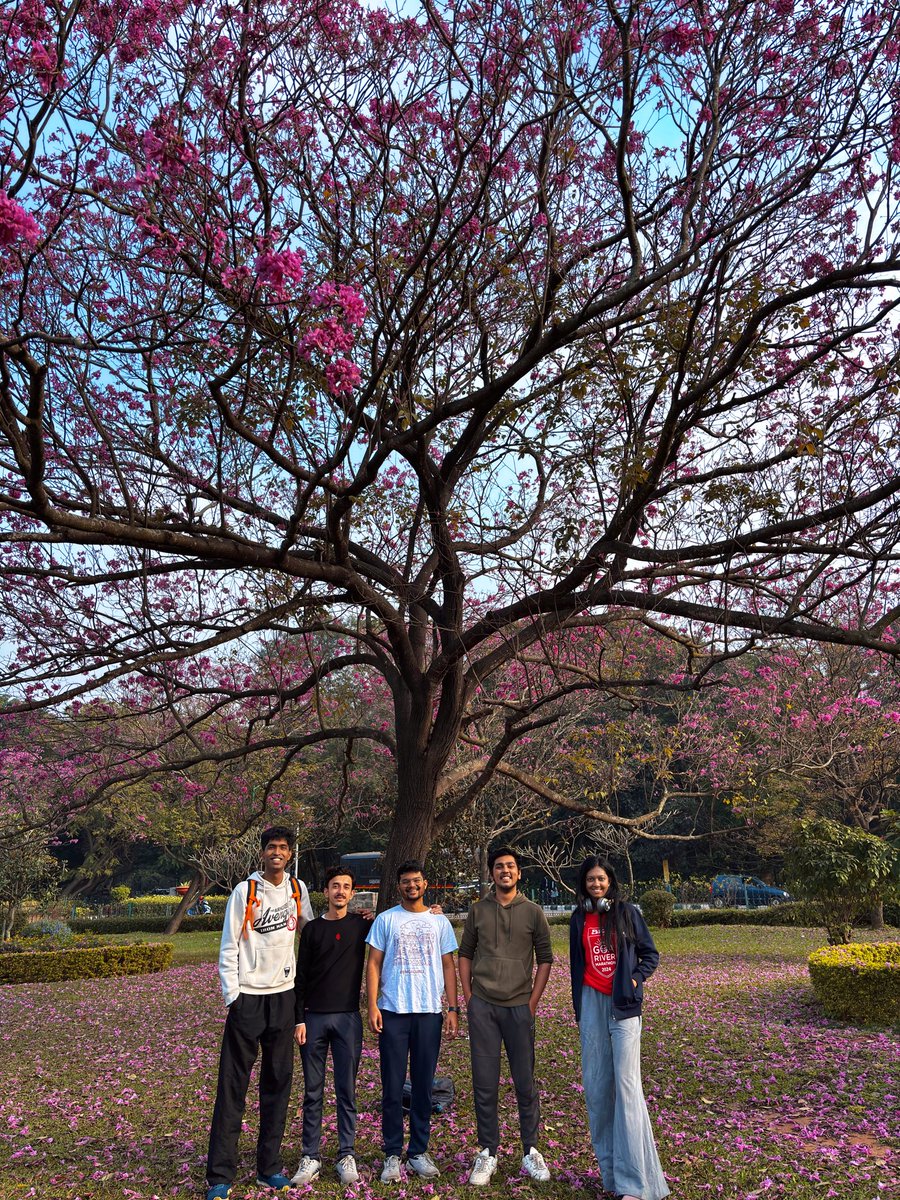 pathikghugare's tweet image. blossom walk @ cubbon 🌸
arranged a smol meetup today at cubbon
ran into beautiful blossoms
met amazing oomfies
it was so refreshing! 🤌
thanks to everyone who joined! 🙌