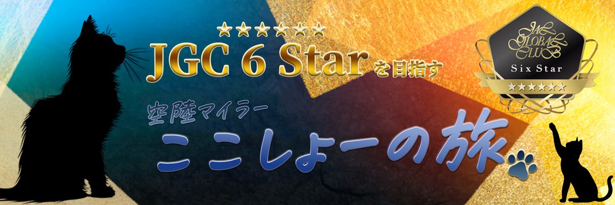 ここしょー tweet media