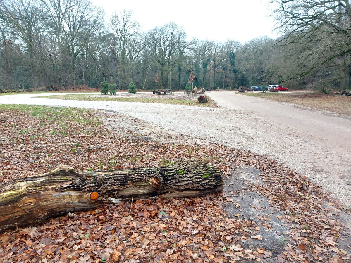 Bezoekers van het #Rysterbosk weten de nieuw ingerichte parkeerplaats goed te vinden. 🤩 Midden op de parkeerplaats vind je een zogeheten boomeiland met een picknickbank, dat een fraai geheel vormt met Huize #Rijsterbosch. Meer info 👉 itfryskegea.nl/nieuws-publica…