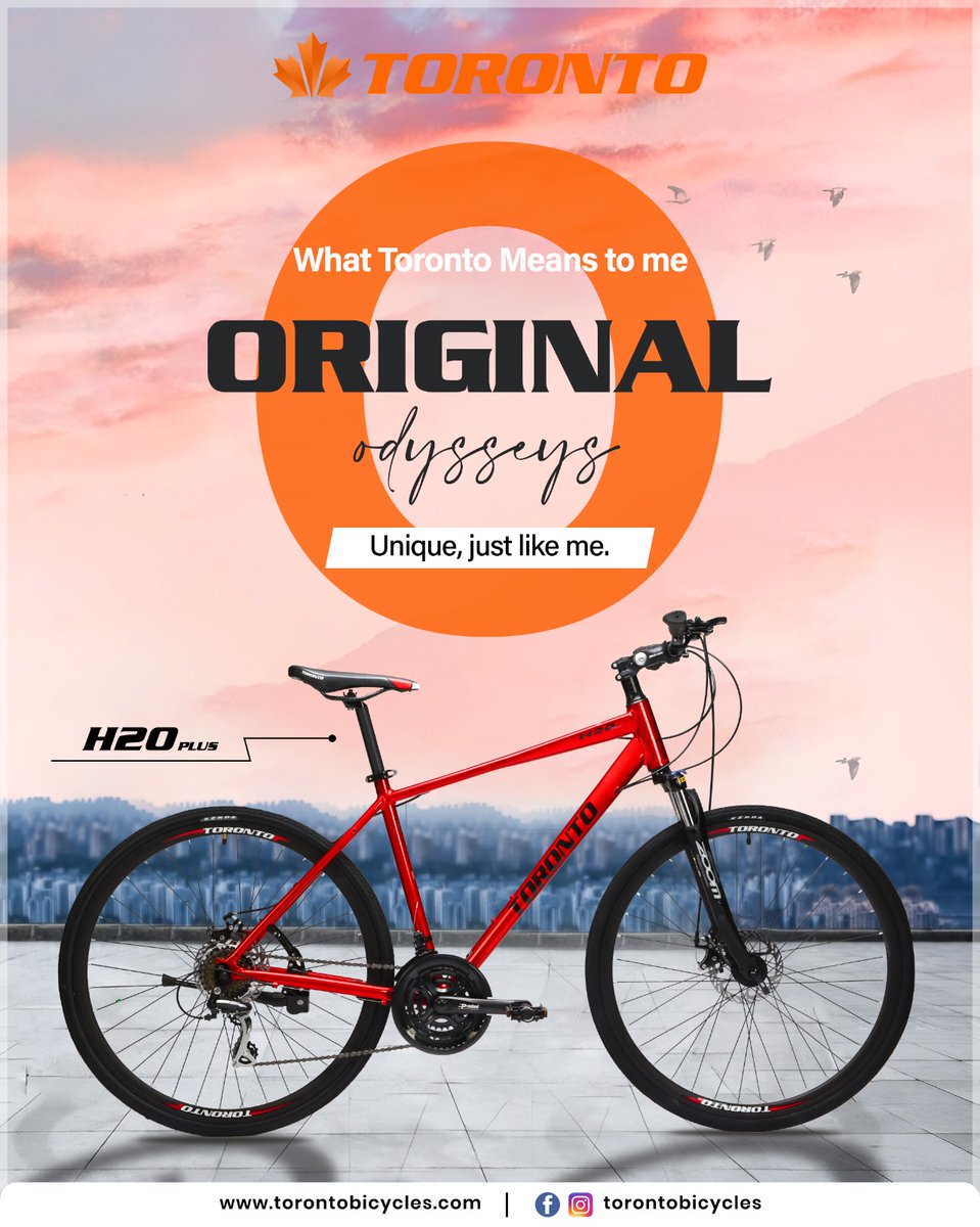 Toronto Bicycles tweet media