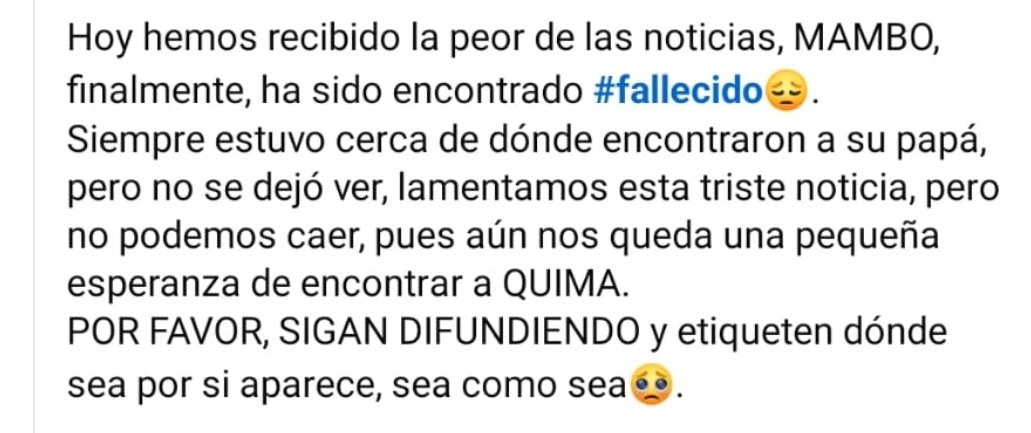 VidasSos's tweet photo. ✅ ACTUALIZACIÓN:
#Mambo ha sido encontrado fallecido cerca de su papá, también fallecido 😭😭😭
DEP Mambo y su papá 🤍🤍 🤍 🌈 💫
Por favor,se sigue buscando a #QUIMA 🙏
#Valencia #Dana #AnimalesPerdidosDANA #España https://t.co/v7blQbs78y