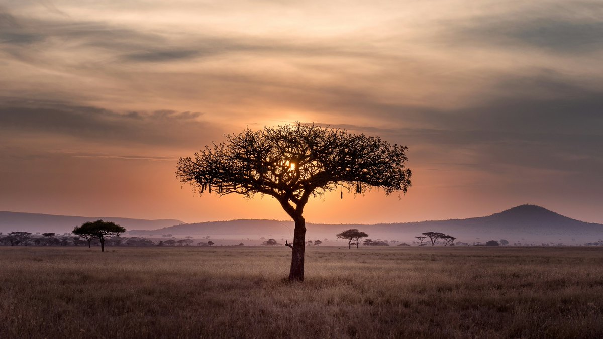 Climate change, conflict, and displacement intersect in the Horn of Africa. Bridging gaps in policy and financing is key to supporting vulnerable populations.

Our commentary highlights efforts and the way forward, reflecting on a Khartoum Process meeting: icmpd.org/blog/2024/brid…