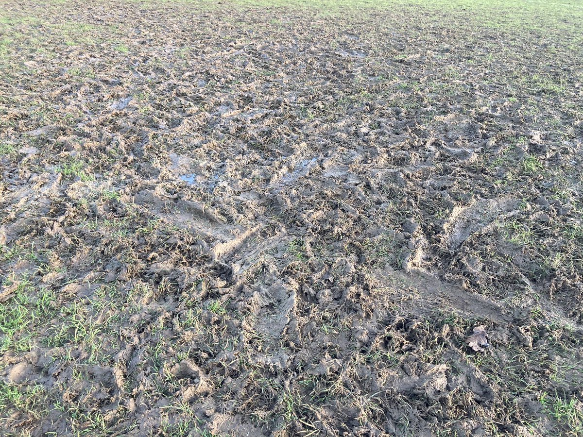 Southborough Sport (@pesport_shs) on Twitter photo This is what <a href="/shsrbk/">Southborough High School</a> playing fields currently look like. It is impossible to teach on this. Please support our proposal to put a 3G pitch on this actual patch so students can continue to take part and enjoy sport all year around <a href="/ActiveKingston/">Active Kingston</a> publicaccess.kingston.gov.uk/online-applica… This is what <a href="/shsrbk/">Southborough High School</a> playing fields currently look like. It is impossible to teach on this. Please support our proposal to put a 3G pitch on this actual patch so students can continue to take part and enjoy sport all year around <a href="/ActiveKingston/">Active Kingston</a> publicaccess.kingston.gov.uk/online-applica…