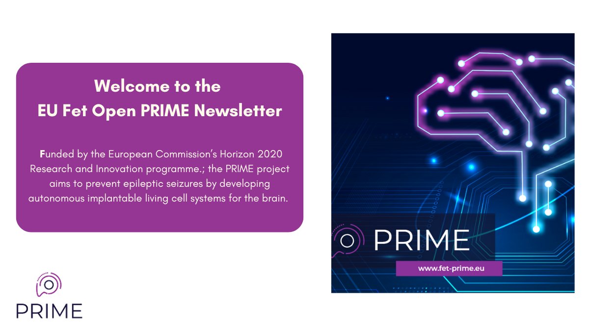 EU FET Open PRIME (@fet_prime) on Twitter photo 🧠The <a href="/FET_PRIME/">EU FET Open PRIME</a> December Newsletter is out now! Subscribers will enjoy reading a round up of the PRIME project's 2024 activities and a look towards 2025. Sign up now: linkedin.com/newsletters/pr… #PRIME #FutureHealth #EpilepsyResearch 🧠The <a href="/FET_PRIME/">EU FET Open PRIME</a> December Newsletter is out now! Subscribers will enjoy reading a round up of the PRIME project's 2024 activities and a look towards 2025. Sign up now: linkedin.com/newsletters/pr… #PRIME #FutureHealth #EpilepsyResearch