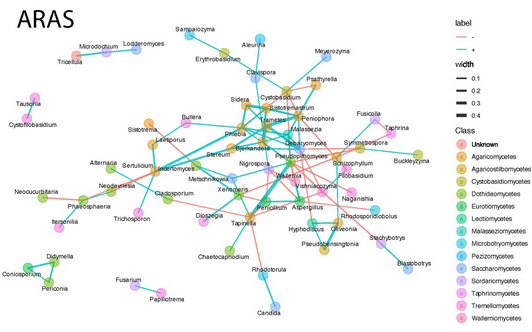 Basic & Clinical Immunology FMUP tweet media