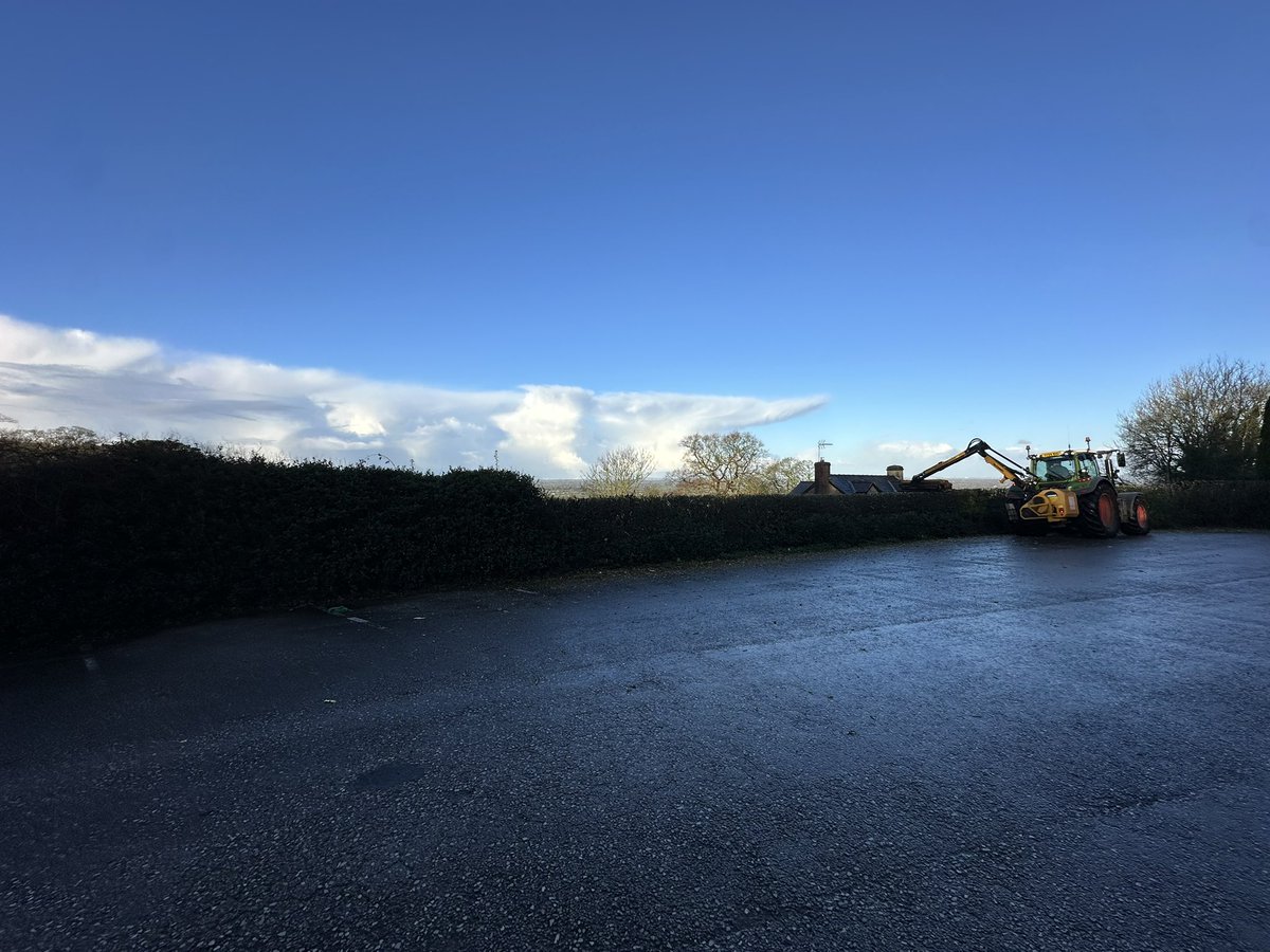 Andrew Nelson tweet media