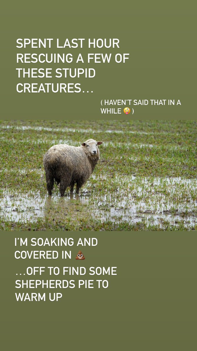 Alun Rees (@awrees14) on Twitter photo 