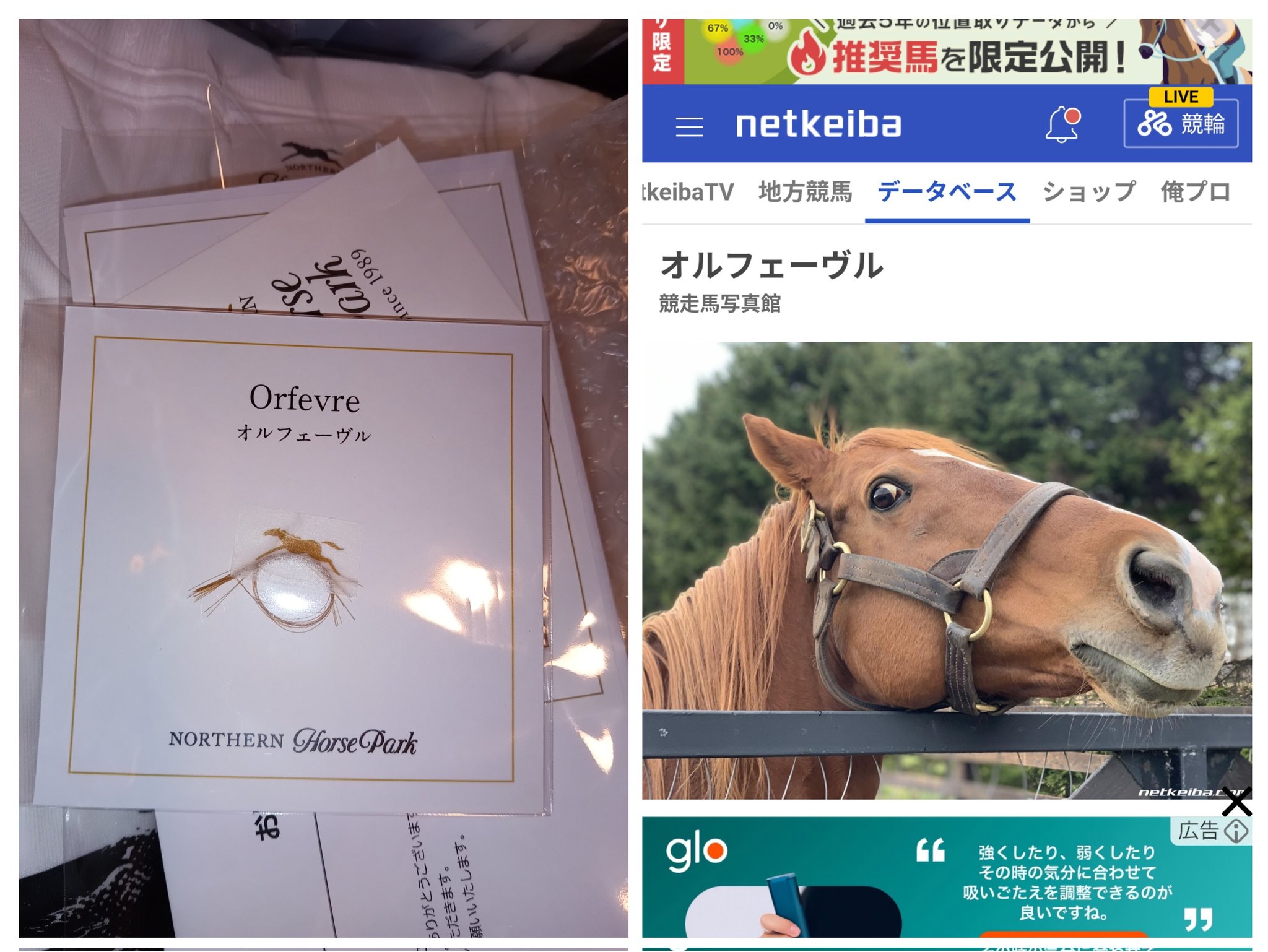 ノーザンホースパーク福袋 - Search / X