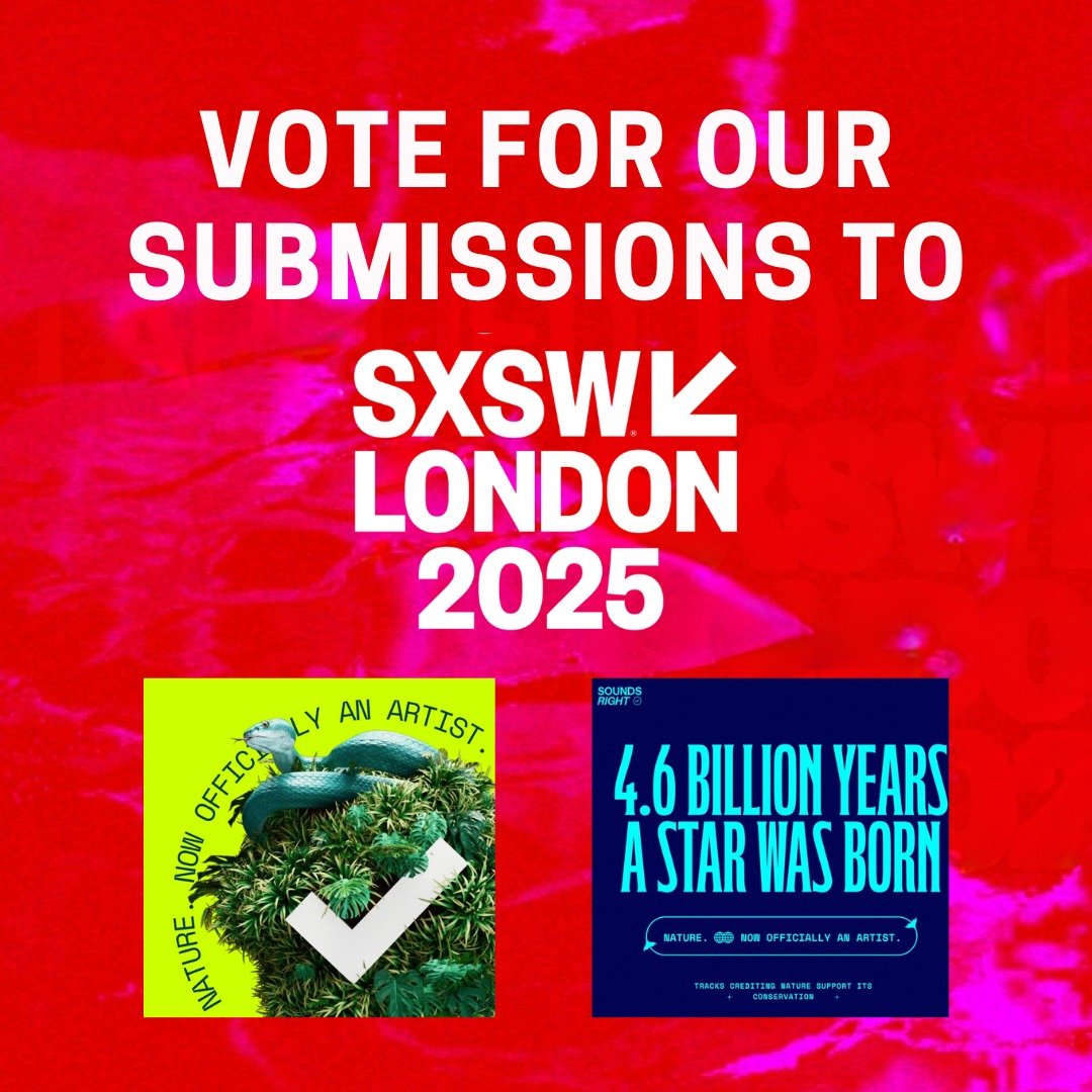 earthpercentorg's tweet image. Help us get human-nature collaboration in music to @sxsw London 2025! 🌍

VOTING CLOSES TONIGHT.

Vote for the panel: sxswlondon.awardsplatform.com/entry/vote/lZA…
Vote for the fireside chat: sxswlondon.awardsplatform.com/entry/vote/lZA…

#SoundsRight @SoundsRight2024
