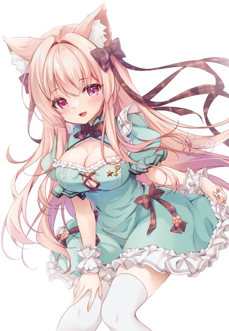 ねこちゃ～ん🐱 