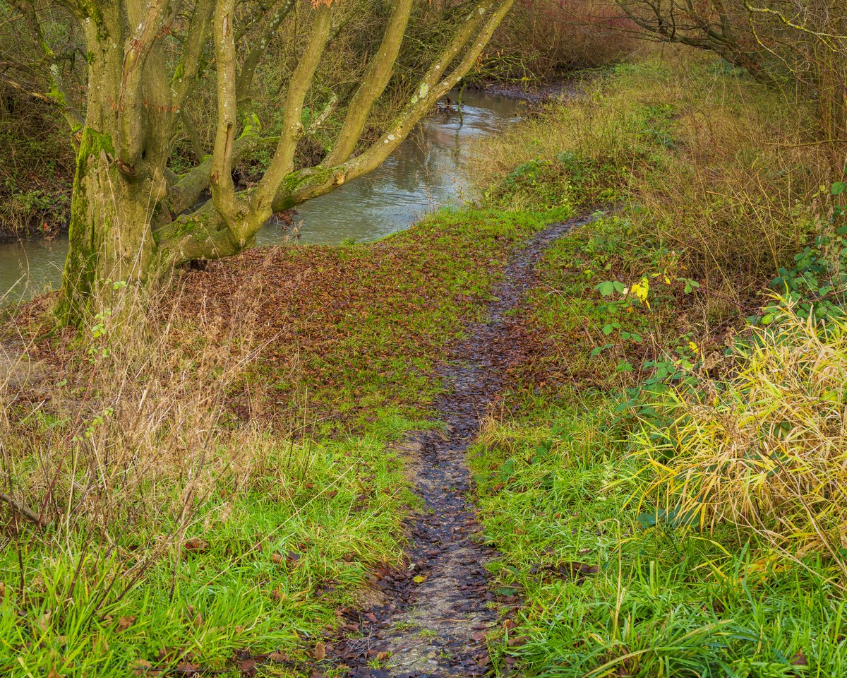 dan23freedom's tweet photo. Soggy Pathway Perils!
Β·
π· 1/50 sec at f/8,0, ISO 800, 40 mm prime #dan23freedom
#Urban #Rural #Nature #Trees #Riverside #River #Germany #NordrheinWestfalen
#iLoveTrees #MuddyPath #TranquilTrail #SoggyWalk #LushGreenery #SereneScene https://t.co/kqwzanuplK
